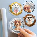Adorable, Art Design, Custom Photo, Summer, Pet Lovers, Photo - Watercolor Summer Pet With Accessories - Custom Photo Watercolor Pet With Summer Accessories Pet Portrait - Personalized Acrylic Magnet