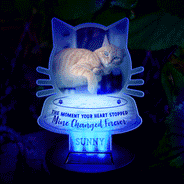 Sentimental,Custom Photo,Pet Lovers,Memorial,Upload Full Photo - Custom Photo I Will Carry You With Me - Personalized Solar Light