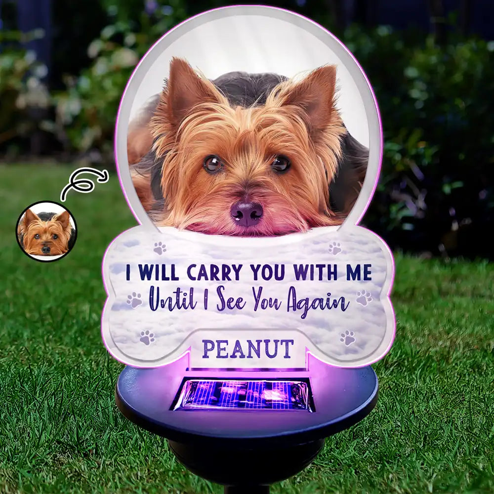 Sentimental,Custom Photo,Pet Lovers,Memorial,Upload Full Photo - Custom Photo I Will Carry You With Me - Personalized Solar Light