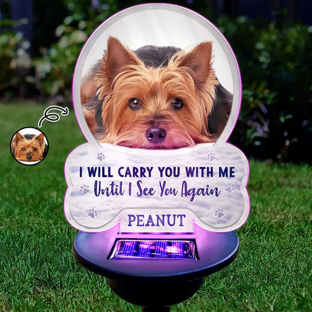 Custom Photo I Will Carry You With Me - Personalized Solar Light