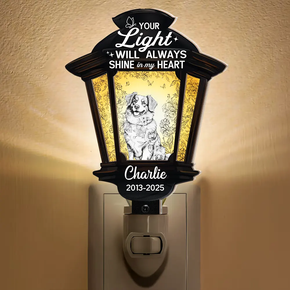 Chinoiserie Toile Dog Your Light Will Always Shine - Personalized Plug-in Night Light