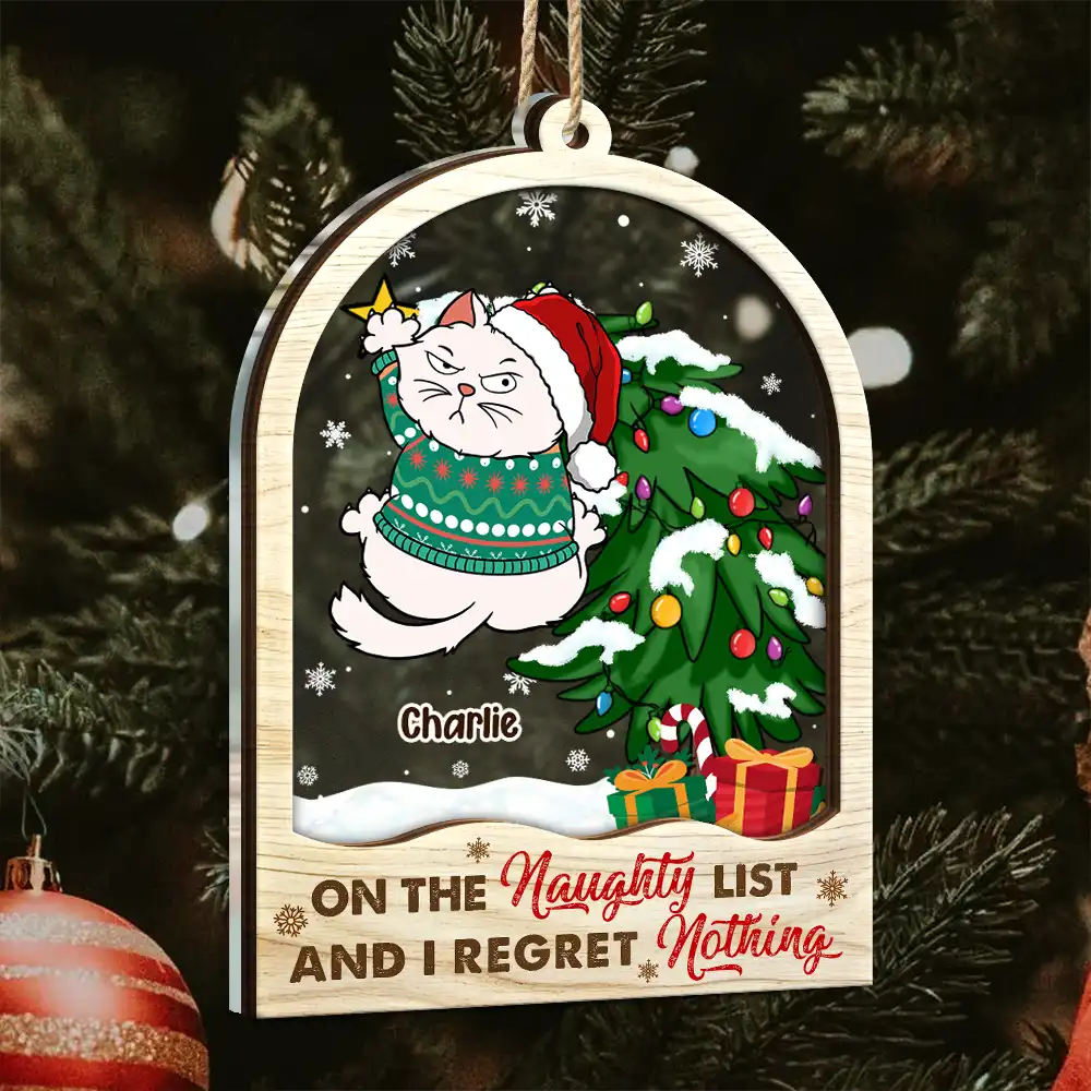 Is This Jolly Enough - Personalized 2-Layered Mix Ornament