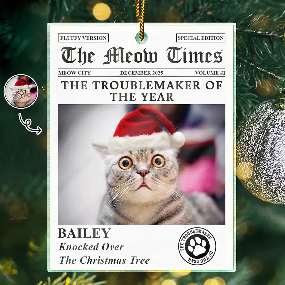 Custom Photo The Dog Times The Meow Times - Personalized Custom Shaped Acrylic Ornament