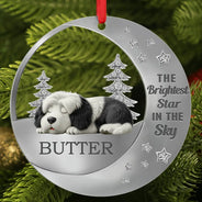 Dog Lovers,Pet Lovers,Sad,Memorial - The Brightest Star In The Sky - Personalized Metal Ornament