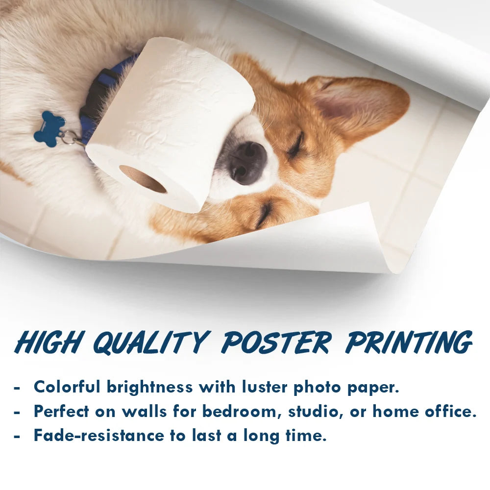 Custom Photo, Art Design, Pet Lovers, Humorous, Photo - Funny Bathroom Pet - Custom Photo Funny Bathroom Pet Toilet Dog Cat - Personalized Poster